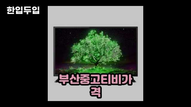 디지털 가전 전문 블로거 한입두입 - 1981 - 2024년 09월 22일 1