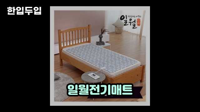 디지털 가전 전문 블로거 한입두입 - 1008 - 2024년 09월 21일 1