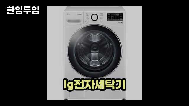 디지털 가전 전문 블로거 한입두입 - 2175 - 2024년 09월 22일 1