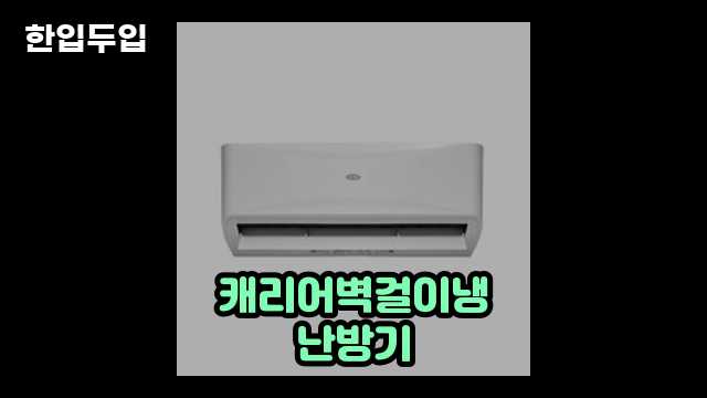 디지털 가전 전문 블로거 한입두입 - 4040 - 2024년 09월 22일 1