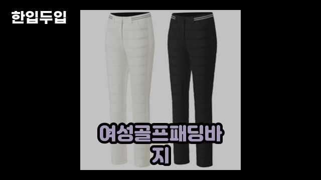 디지털 가전 전문 블로거 한입두입 - 4518 - 2024년 09월 22일 1