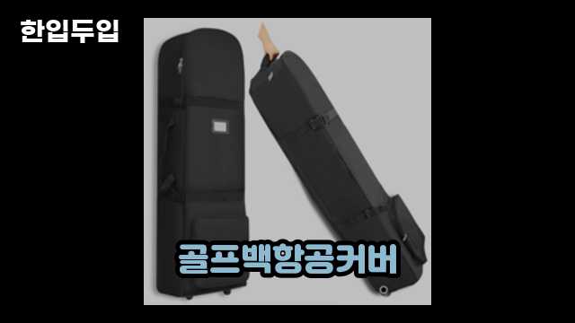 디지털 가전 전문 블로거 한입두입 - 5491 - 2024년 09월 22일 1