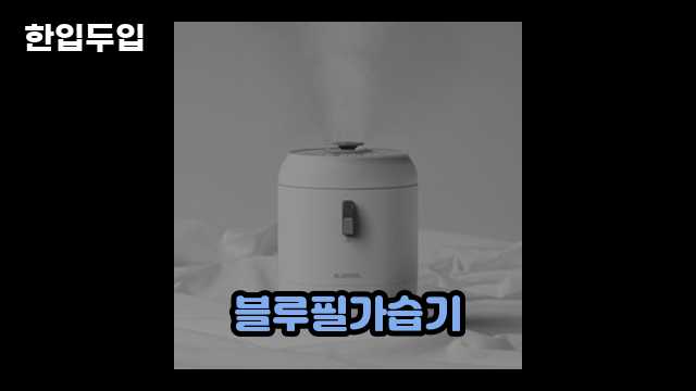 디지털 가전 전문 블로거 한입두입 - 5776 - 2024년 09월 22일 1