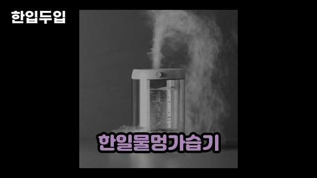 디지털 가전 전문 블로거 한입두입 - 10150 - 2024년 10월 20일 1