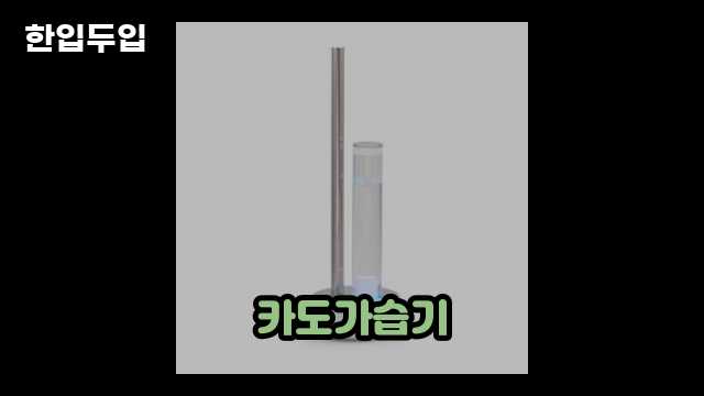 디지털 가전 전문 블로거 한입두입 - 9586 - 2024년 10월 21일 1