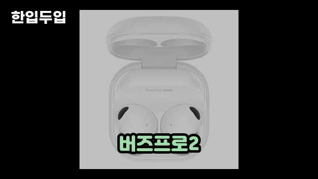 디지털 가전 전문 블로거 한입두입 - 10796 - 2024년 10월 21일 1