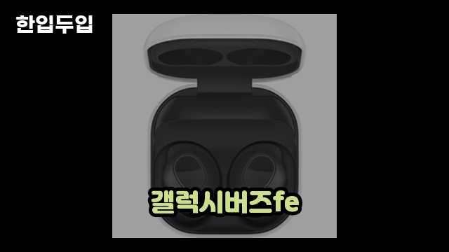 디지털 가전 전문 블로거 한입두입 - 11000 - 2024년 10월 20일 1