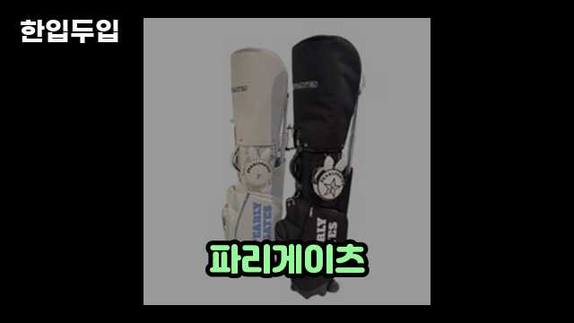 파리게이츠 골프백 캐디백 리뷰 2 3 파리게이츠 골프백 캐디백 리뷰