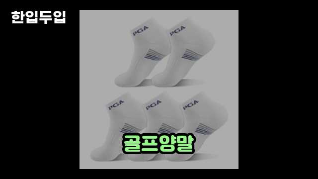 디지털 가전 전문 블로거 한입두입 - 13018 - 2024년 10월 20일 33