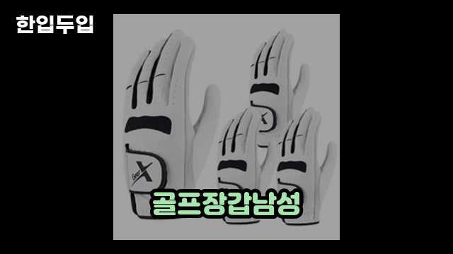 디지털 가전 전문 블로거 한입두입 - 13027 - 2024년 10월 20일 1