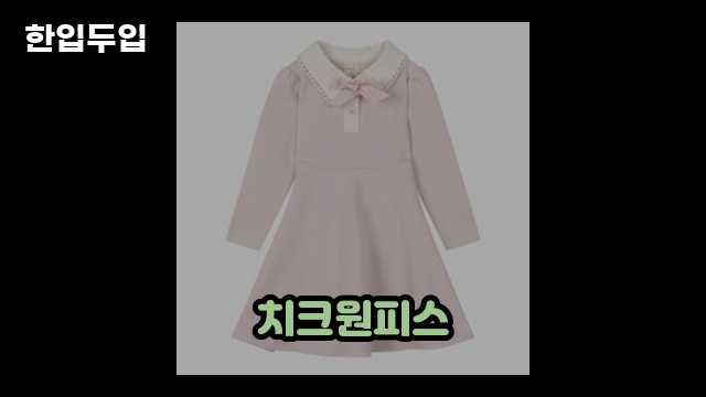 디지털 가전 전문 블로거 한입두입 - 11699 - 2024년 09월 22일 1