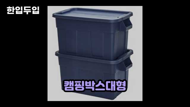 디지털 가전 전문 블로거 한입두입 - 13379 - 2024년 10월 19일 13